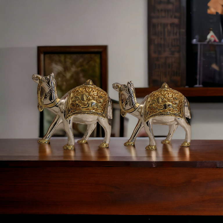 gallery-1 Main ViewCame